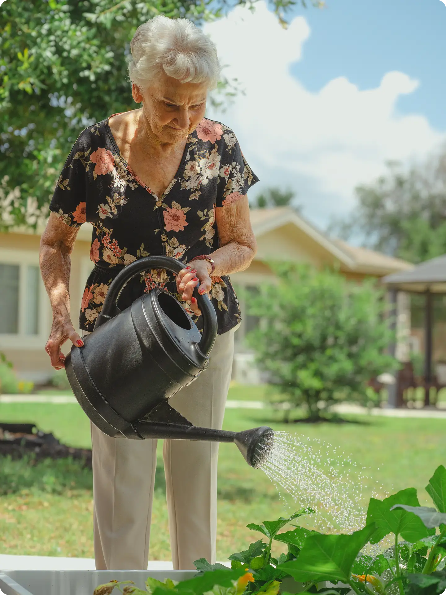 An elderly woman with short white hair and a floral blouse waters plants in a garden using a black watering can on a sunny day, with houses and trees visible in the background.